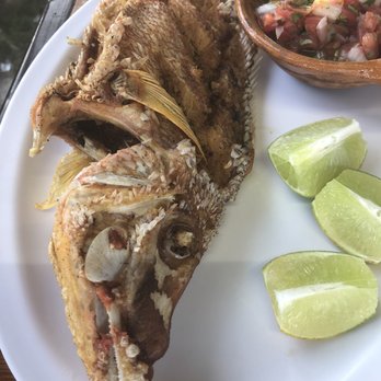 El Chino - Local Whole fried fish - Seafood Near Me - Tulum, ROO El Chino - Local Whole fried fish - Seafood Near Me - Tulum, ROO
