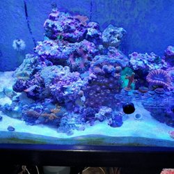 Ernie's Seven Seas Aquariums