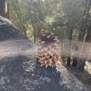 The Idyllwild Bunkhouse - Nature - Hotels Near Me - Idyllwild, California The Idyllwild Bunkhouse - Nature - Hotels Near Me - Idyllwild, California