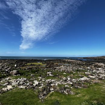 Giant's Causeway - Landmarks & Historical Buildings Near Me - Bushmills, MYL