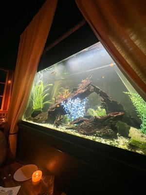 Blue Water Grille by null