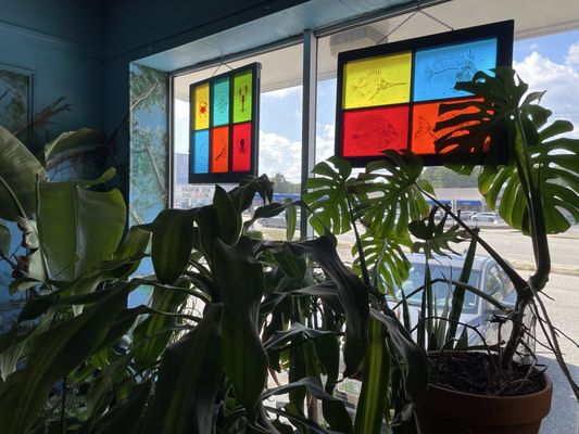 Biomes Marine Biology Center by null