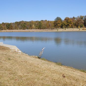 Shelby Farms Park - Parks Near Me - Memphis, Tennessee Shelby Farms Park - Parks Near Me - Memphis, Tennessee