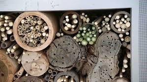 Save The Bees USA by null