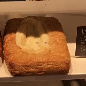 Starbucks - Fruit flys. - Coffee & Tea Near Me - Denton, Texas