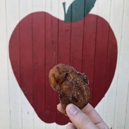 Mini Apple Cider Donut Mini Apple Cider Donut