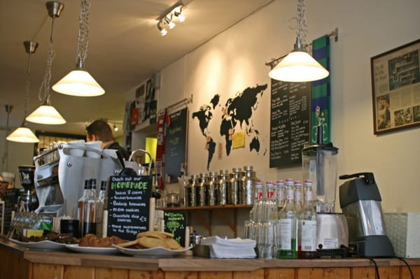 Black & Bloom by null