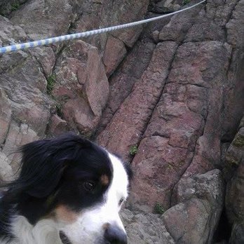 Caring Pathways - Northern Colorado - By my side through it all! Learning to rock climb, slackline, snowboard, and so much more. - Veterinarians Near Me - Berthoud, Colorado