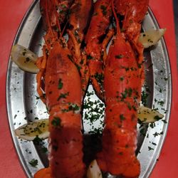 Lobster