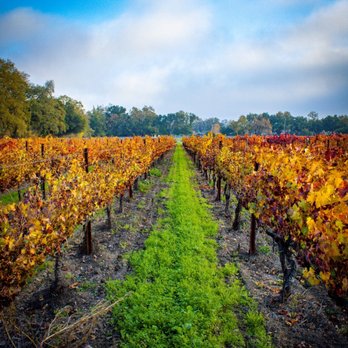 Benessere Vineyards - Divine Vines - Wineries Near Me - Saint Helena, California Benessere Vineyards - Divine Vines - Wineries Near Me - Saint Helena, California