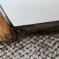 Beach Realty & Construction - Kitty Hawk Rentals - Black mold