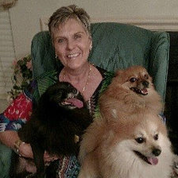 Pampered Pooches - Dog Walkers Near Me Pampered Pooches - Dog Walkers Near Me