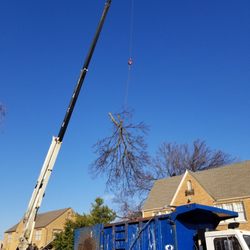 Tip Top Tree Service - Crane assisted Tree removal and hauling.