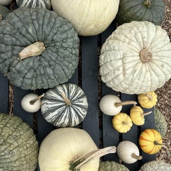 The Farmer's Daughter - Nurseries & Gardening Near Me - Wakefield, Rhode Island