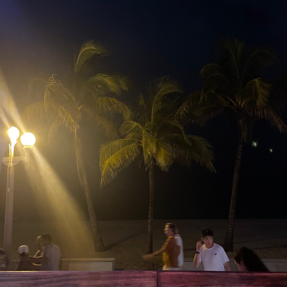 Why Not - Outside beachfront view - Seafood Near Me - Hollywood, Florida Why Not - Outside beachfront view - Seafood Near Me - Hollywood, Florida