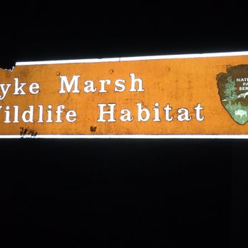 Dyke Marsh - Hiking Near Me - Alexandria, Virginia