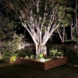D & N Electric - Make that tree pop!