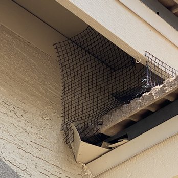 Pigeons R Us - It will probably function? That's all that I can say - Wildlife Control Near Me - Phoenix, Arizona Pigeons R Us - It will probably function? That's all that I can say - Wildlife Control Near Me - Phoenix, Arizona