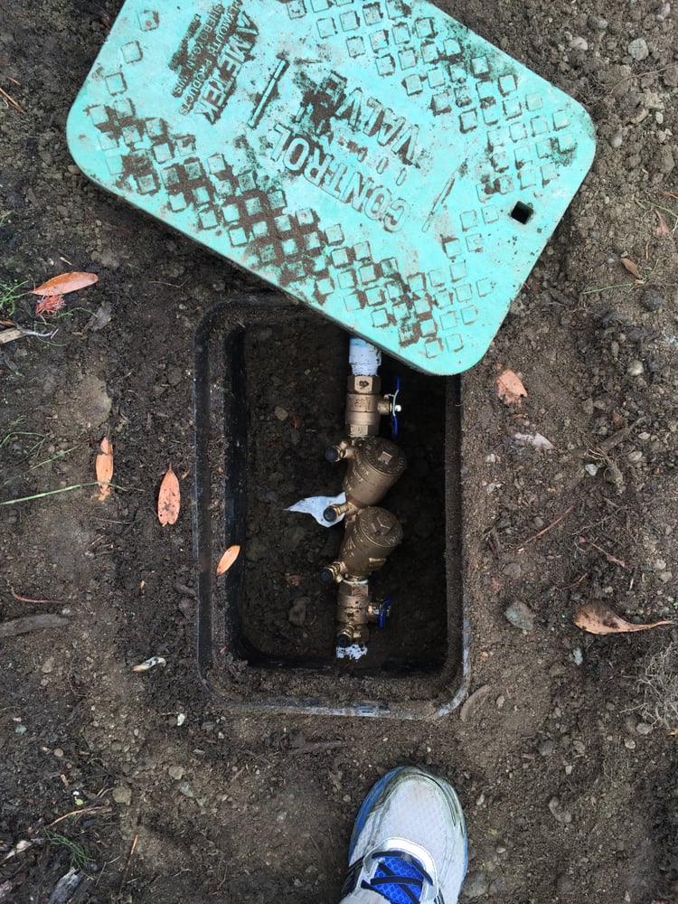 Slide of A+ Backflow
