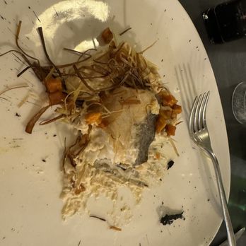 Cotto - If you like Cod. This is the best. - Italian Near Me - Rome, RM Cotto - If you like Cod. This is the best. - Italian Near Me - Rome, RM