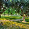 O'Toole Elms Park gift card