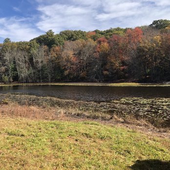 Campbell's Peaceful Valley Conservation Area - Manmade pond - Parks Near Me - Tolland, Connecticut
