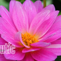 Crystal Springs Massage Therapy