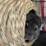 Photo of TriKee Tack