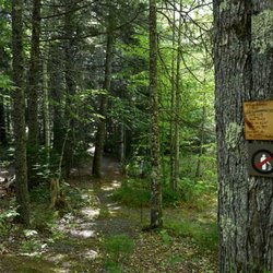 Birdsacre - Entrance to trails