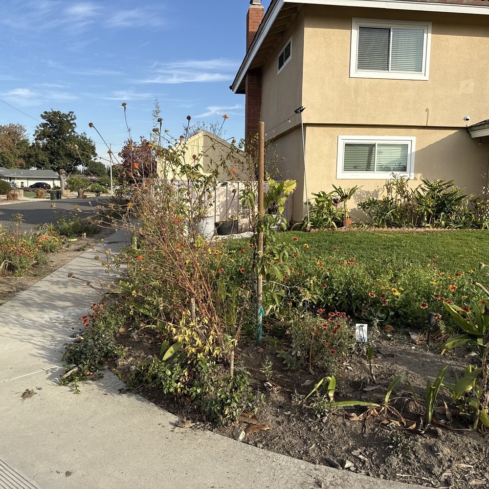 Alonzo Construction - Previous new driveway - Masonry/Concrete Near Me Alonzo Construction - Previous new driveway - Masonry/Concrete Near Me
