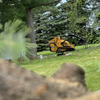 Mourning Wood - Tree Services Near Me