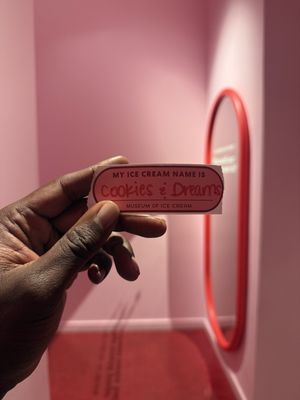 Museum of Ice Cream by null