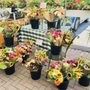 Photo of Ferjulian's Farm Stand