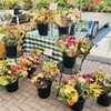 Ferjulian's Farm Stand gift card