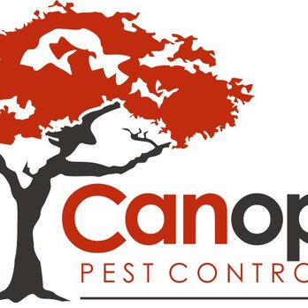 Canopy Pest Control - Pest Control Near Me - San Tan Valley, Arizona