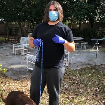 True Dog Obedience Training - Pet Training Near Me True Dog Obedience Training - Pet Training Near Me