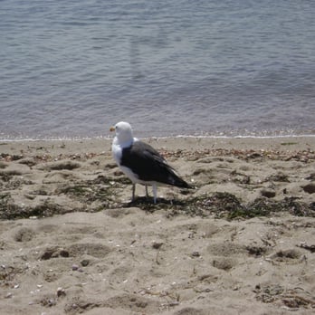 Craigville Beach - Beaches Near Me - Centerville, Massachusetts