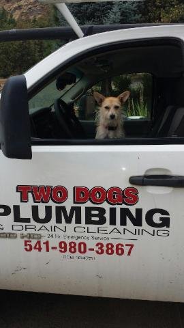 Slide of Two Dogs Plumbing and Drain Cleaning