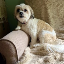 Great grooming