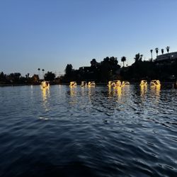 Echo Park Lake - Swan Boats