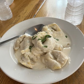 Dino's Cafe - Pumpkin tortellini - Italian Near Me - Boston, Massachusetts Dino's Cafe - Pumpkin tortellini - Italian Near Me - Boston, Massachusetts