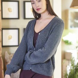 have you any wool - Emmi knit in Berroco Arno.