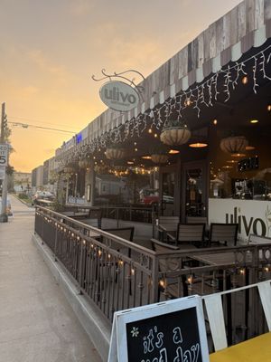 Ulivo Restaurant by null