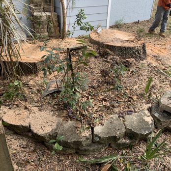 The Magic Rake Tree And Landscaping Service - Giant trees down safety - Landscape Architects or Designers Near Me