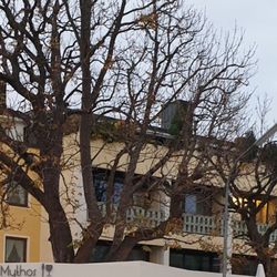 Mythos - Biergarten