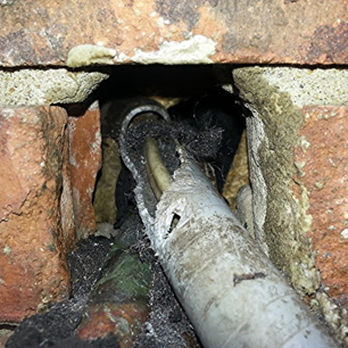 Antex Pro Pest Control - What was the last company think?.?.? The rats just pulled that steal wool out that hole like it was a gift bag. - Pest Control Near Me