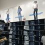 Photo of Old Navy