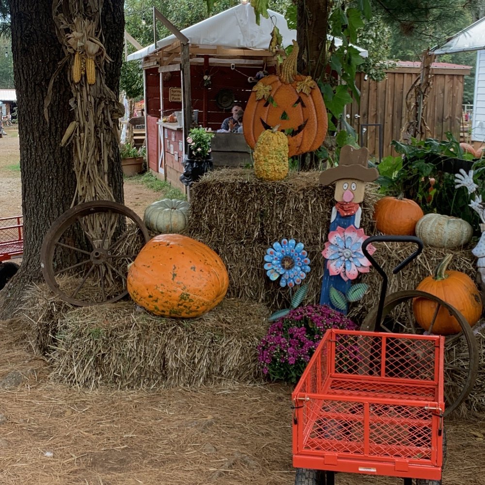 Spring Haven Farm - outside - Farms Near Me - Chapel Hill, North Carolina