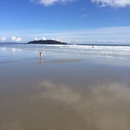 Winter walks on the beach are great! Winter walks on the beach are great!