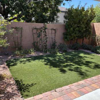 RedGator Tree Trimmin' and Landscape - BEFORE - Tree Services Near Me - Las Vegas, Nevada